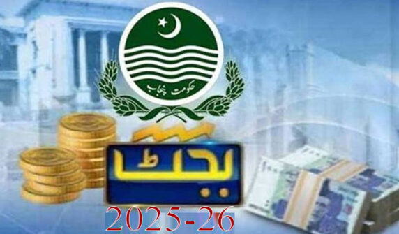 Punjab Budget