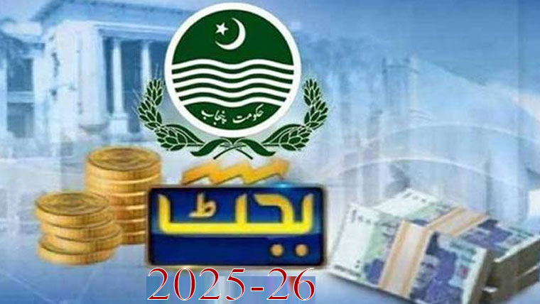 Punjab Budget