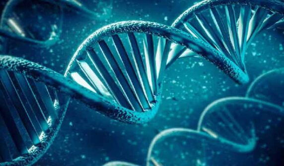 human genetic code