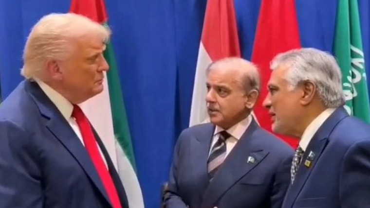 Shabaz & Trump